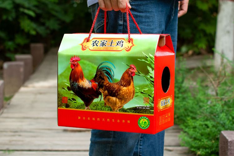 画板 4活鸡箱.jpg