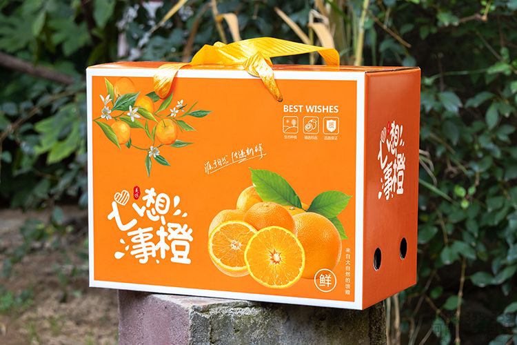 通用橙子礼盒(图6) 05.jpg