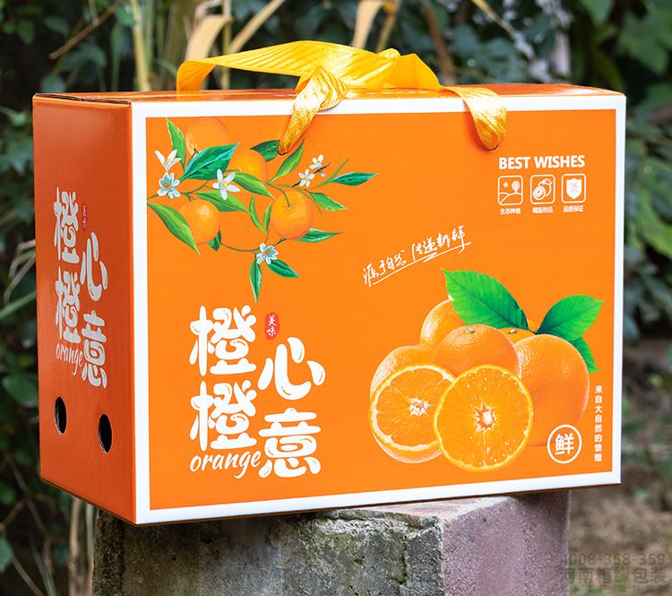 通用橙子礼盒(图2) 00.jpg